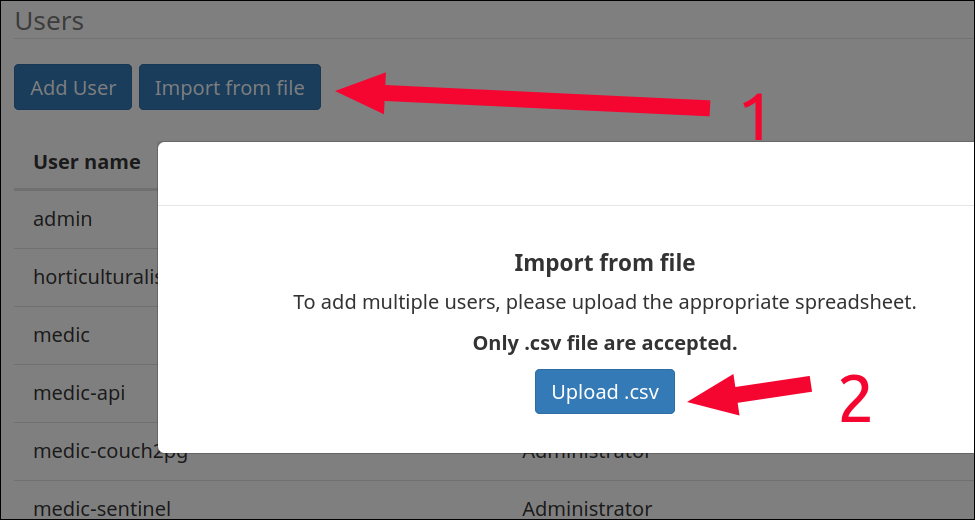 import CSV into CHT